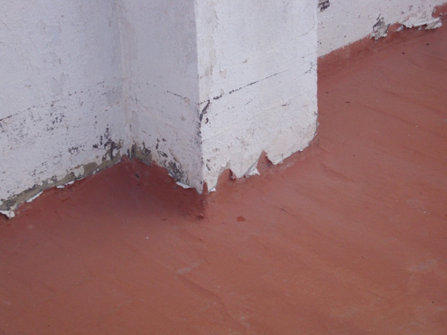 Detalle encuentro clorocaucho Detalle encuentro clorocaucho