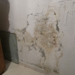 Humedad en pared por ascensión capilar